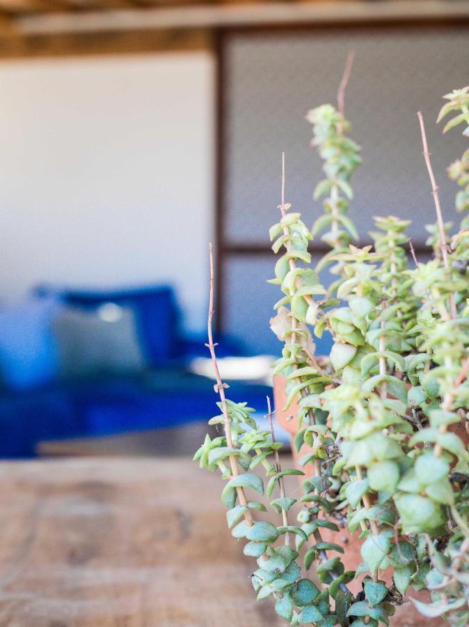 Eco Lodge Carbonaccio Chiatra Екстериор снимка